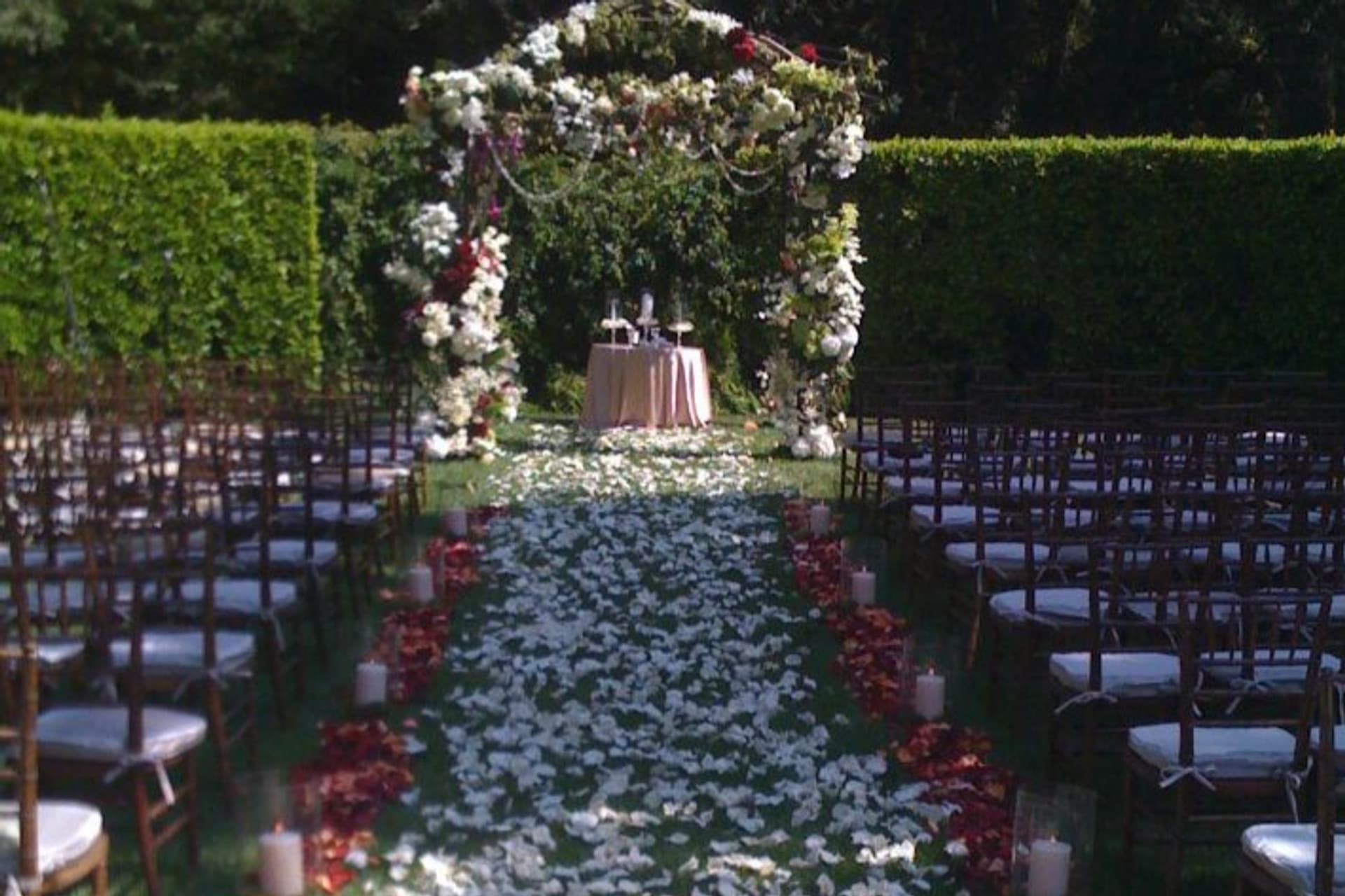 Beautifully plated entrée