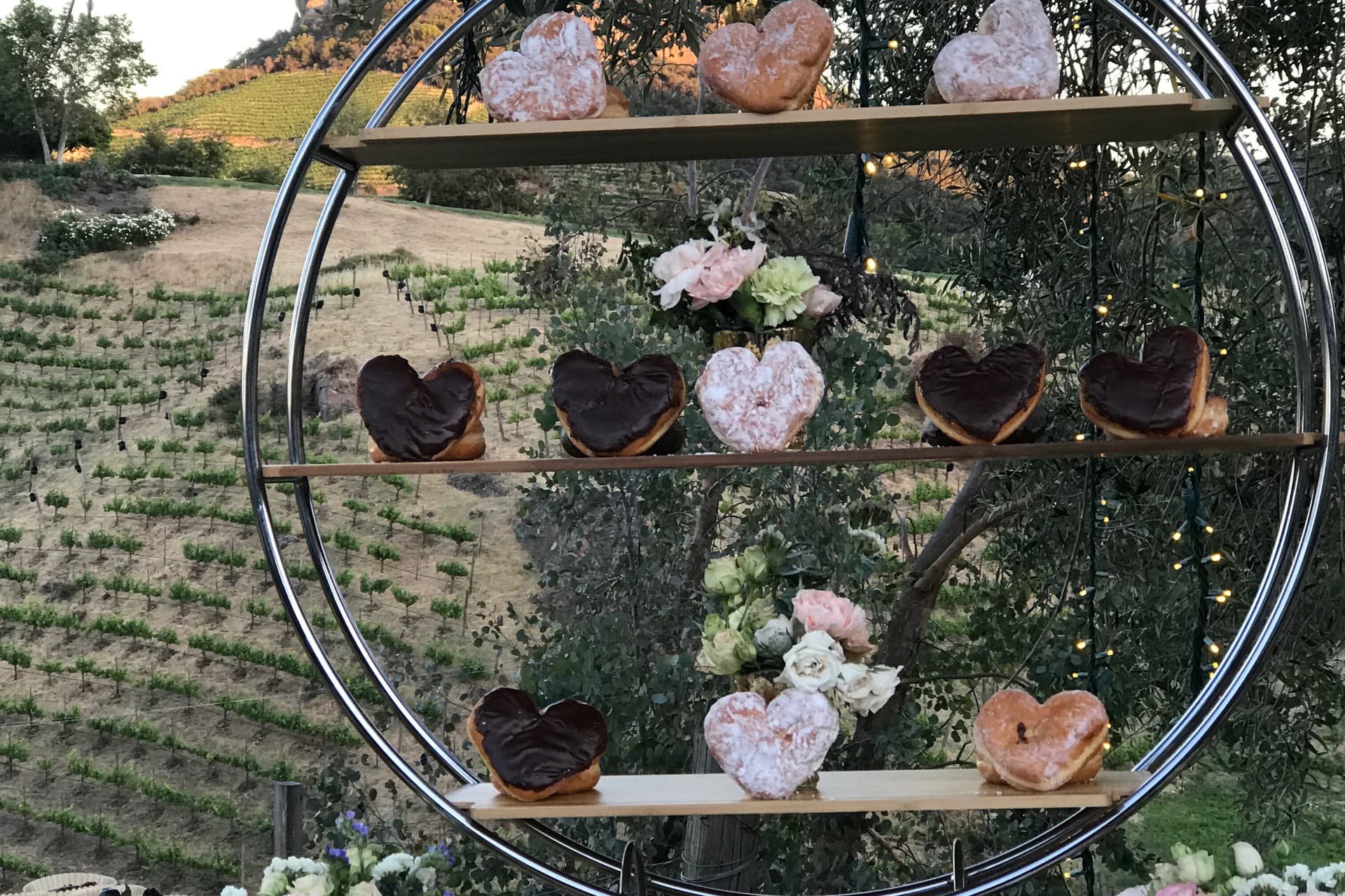 Gourmet plated dinner with garnish